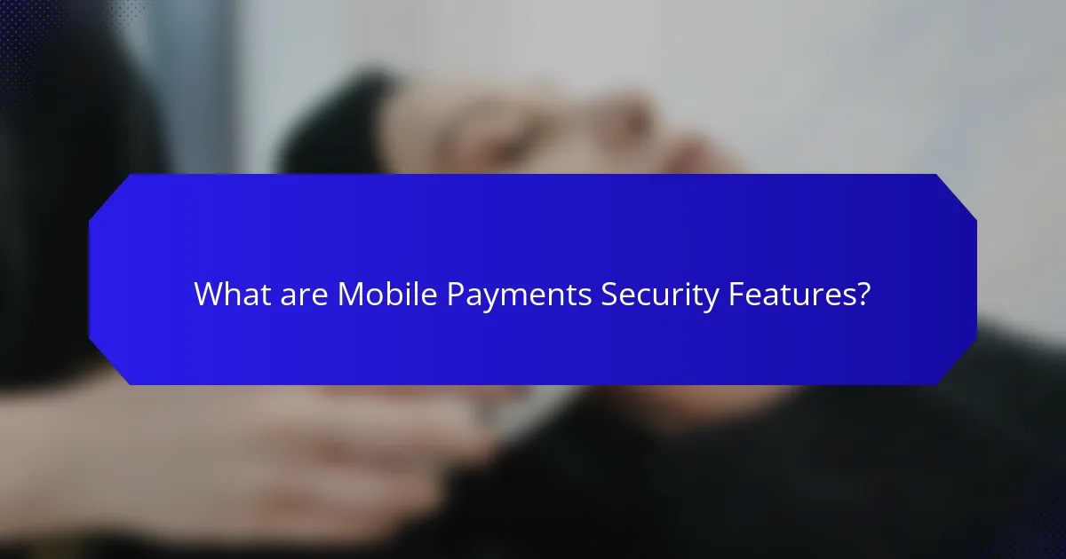 What are Mobile Payments Security Features?